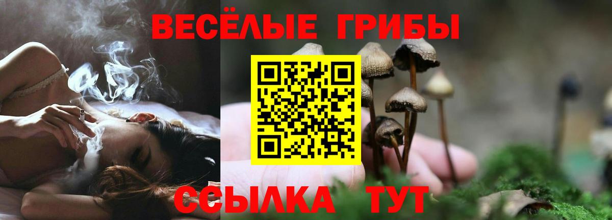 Псилоцибиновые грибы Cubensis  Вход с VPN  даркнет сайт  Куйбышев  Псилоцибиновые грибы прущие грибы 